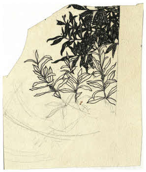 Visualizza l'immagine "FD D 255"